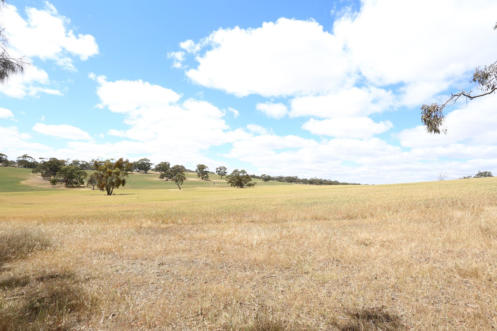 Lot 5 Koorama Road, Clare SA 5453, Image 2