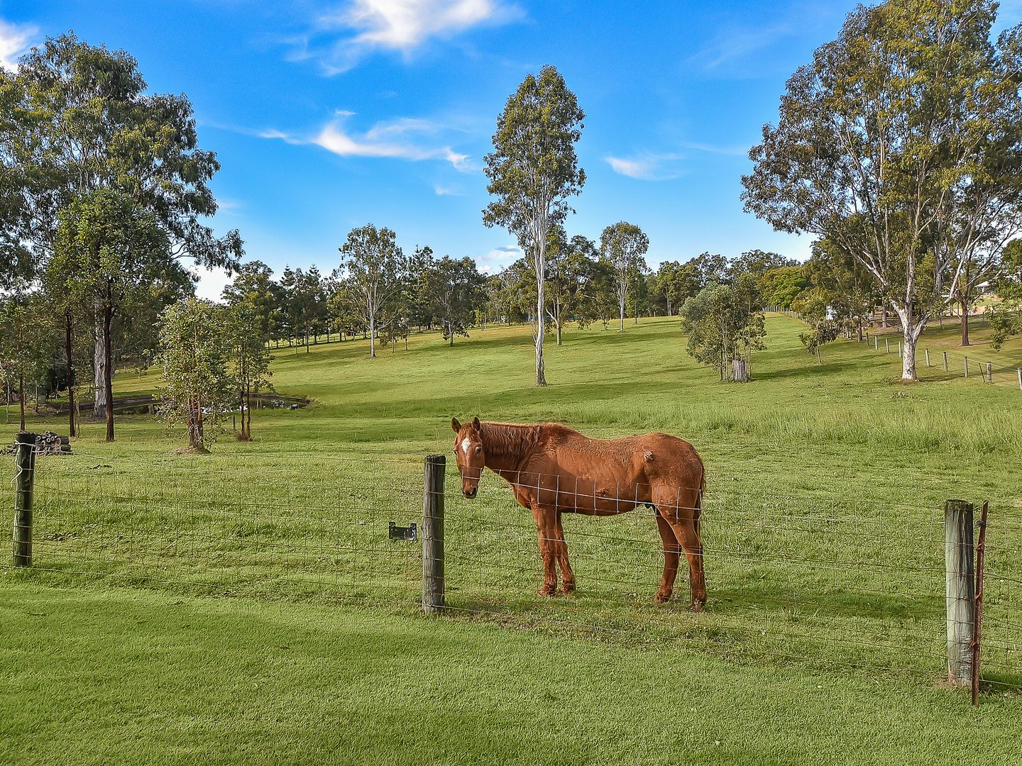 20 Mountain View Court, Samford Valley QLD 4520, Image 2