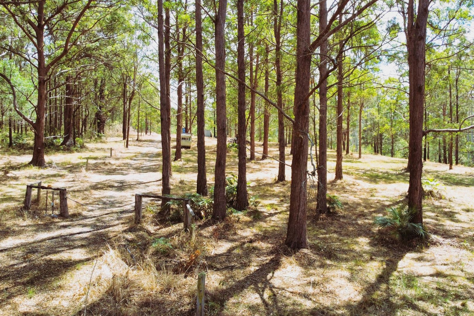 Lot 9 Tipton Place, Failford NSW 2430 Vacant Land for Sale Domain