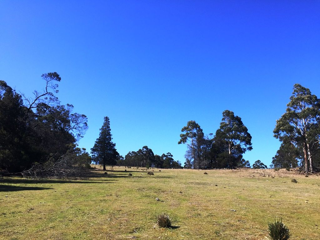 Lot 1 Bresnehans Road, Little Swanport TAS 7190, Image 0