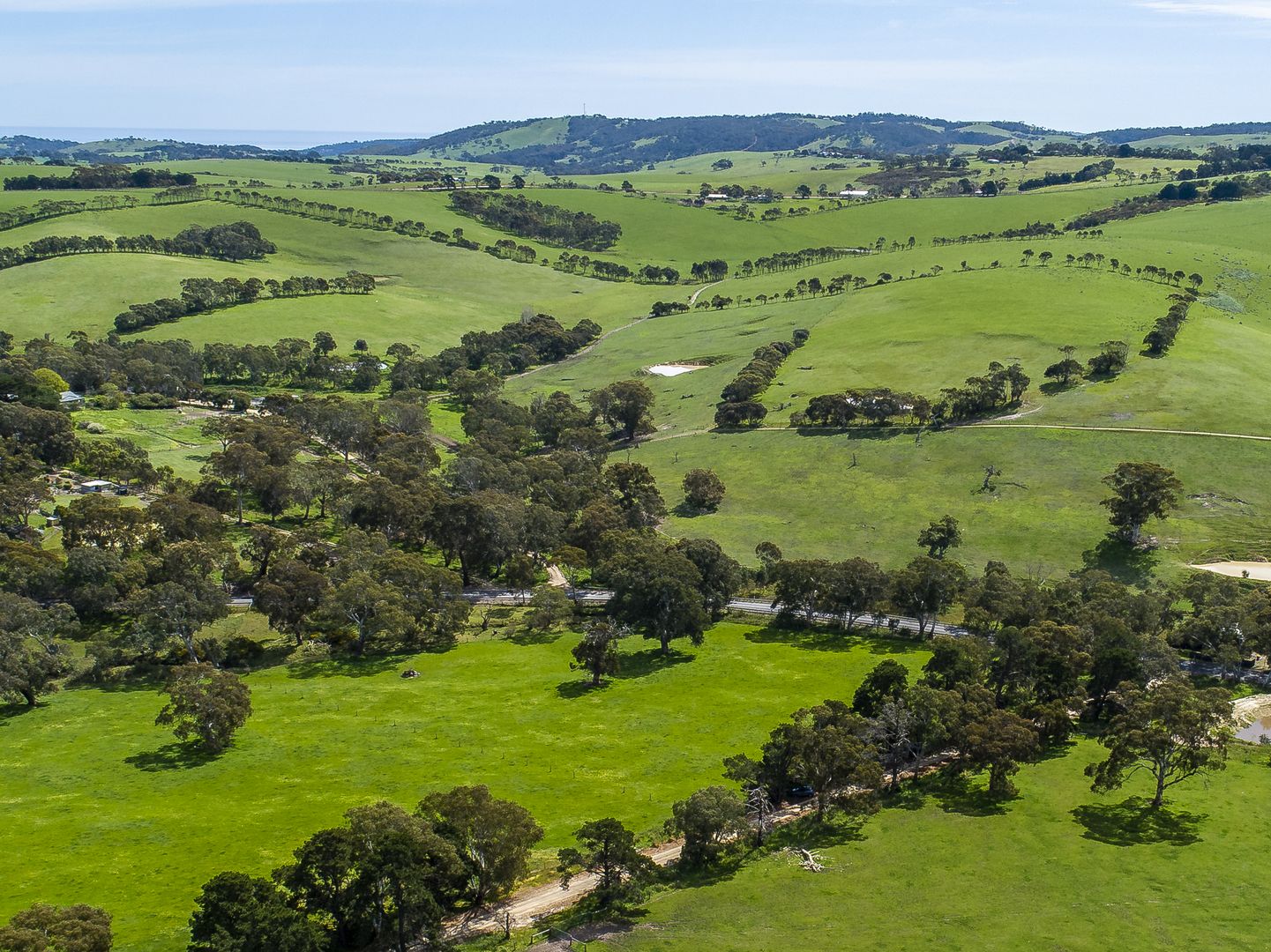 Lot 501 Botanic Drive, Inman Valley SA 5211, Image 1