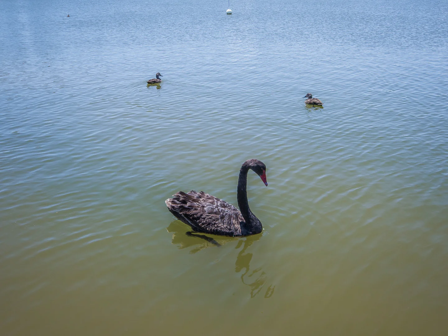 Image 22