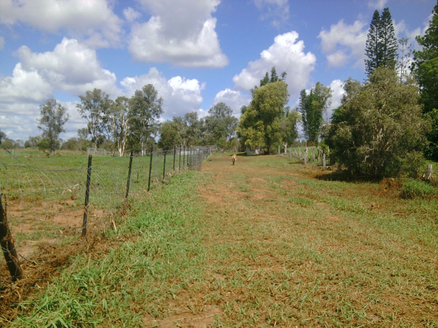 Lot 12 Hodges Road, Cordalba QLD 4660, Image 2