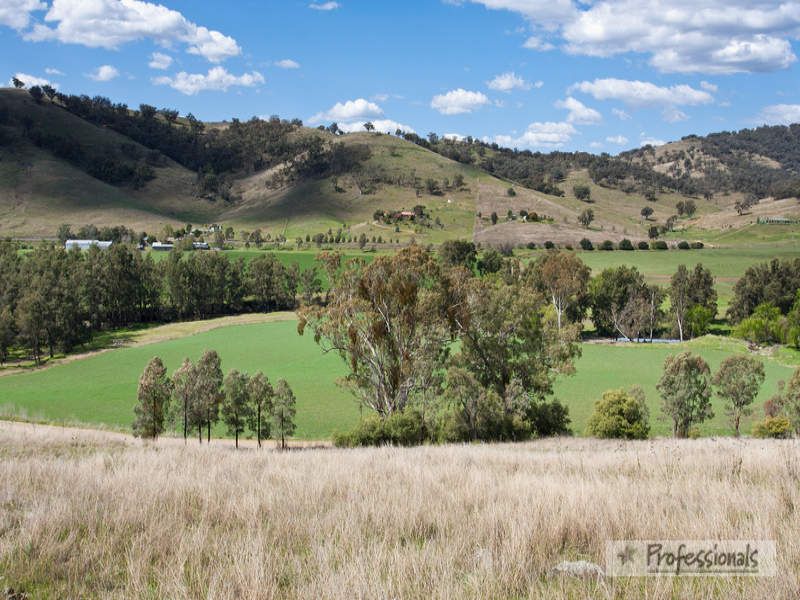 Back Woolomin Road, Dungowan NSW 2340, Image 2