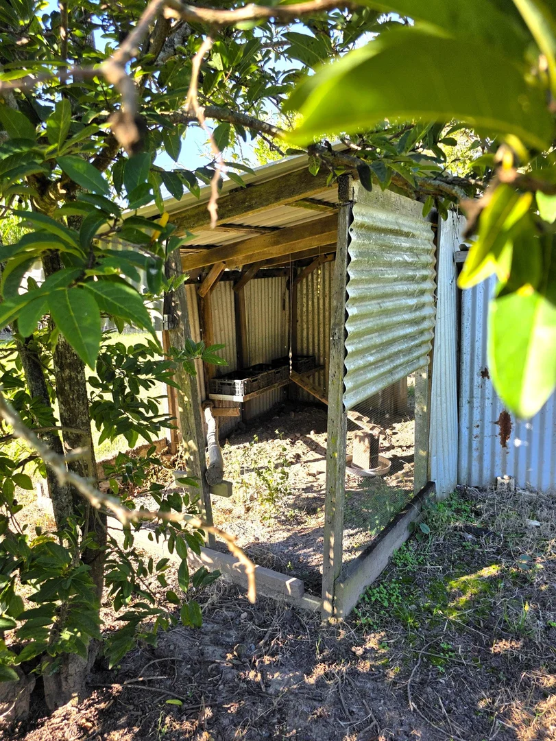 Image 6