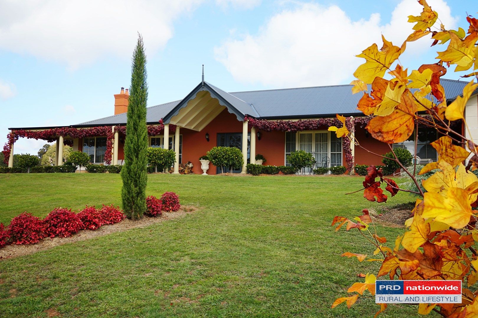 129 Black Range Road, Tumbarumba NSW 2653, Image 2