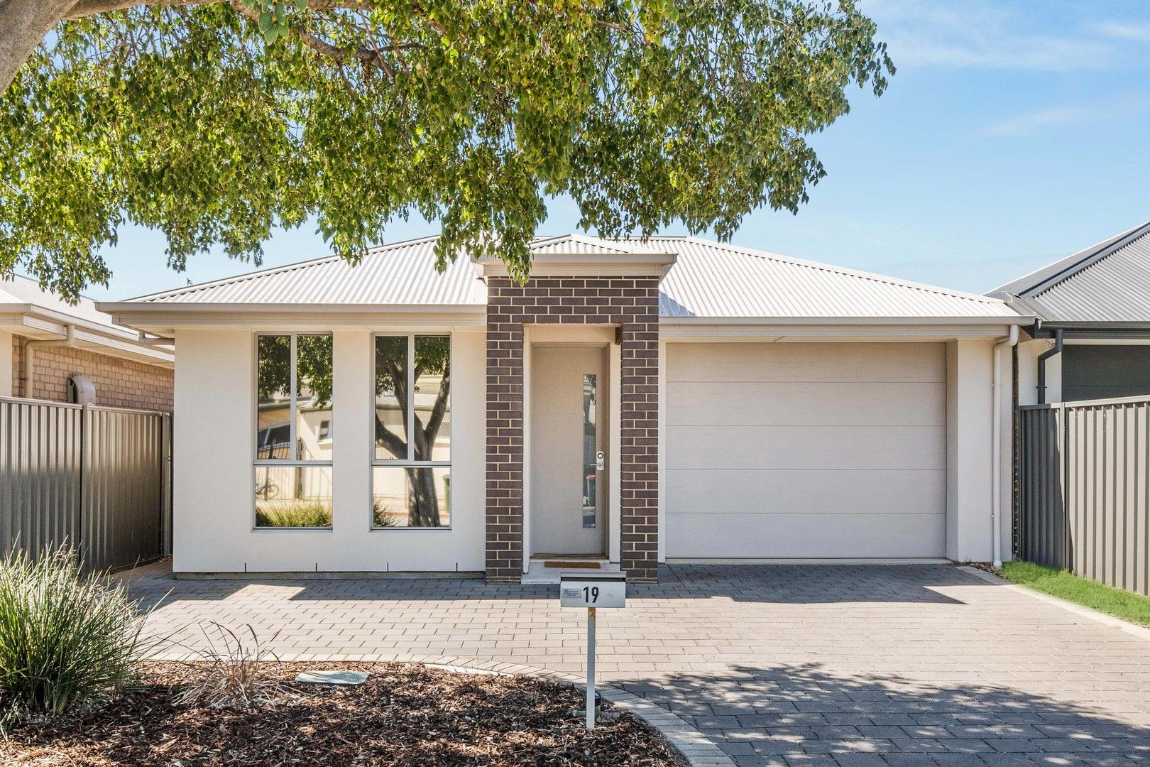 19 Cairns Avenue, Warradale SA 5046, Image 0