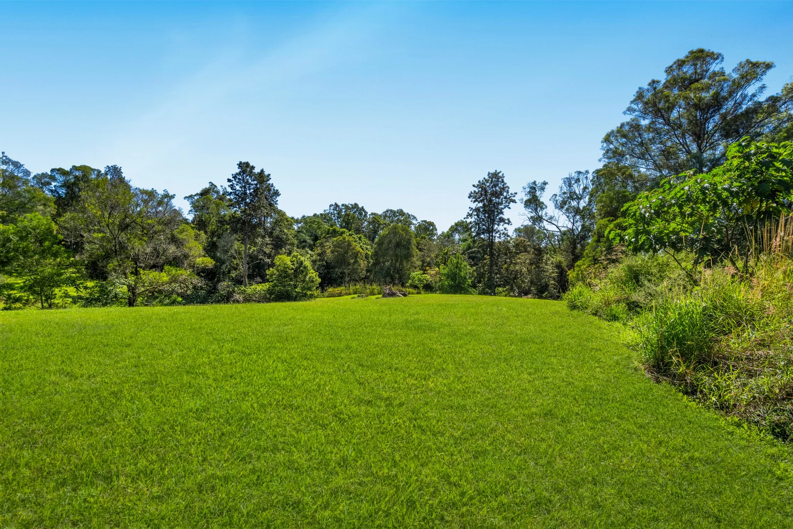 Image 40