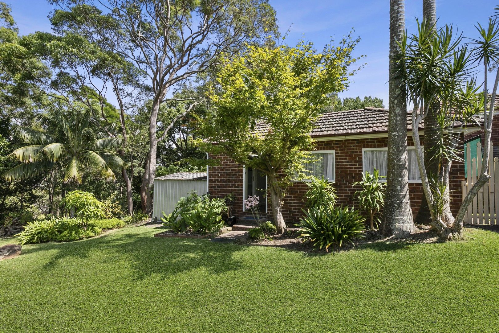 GF35 Deepwater Road, Castle Cove NSW 2069 House For Rent 350 Domain