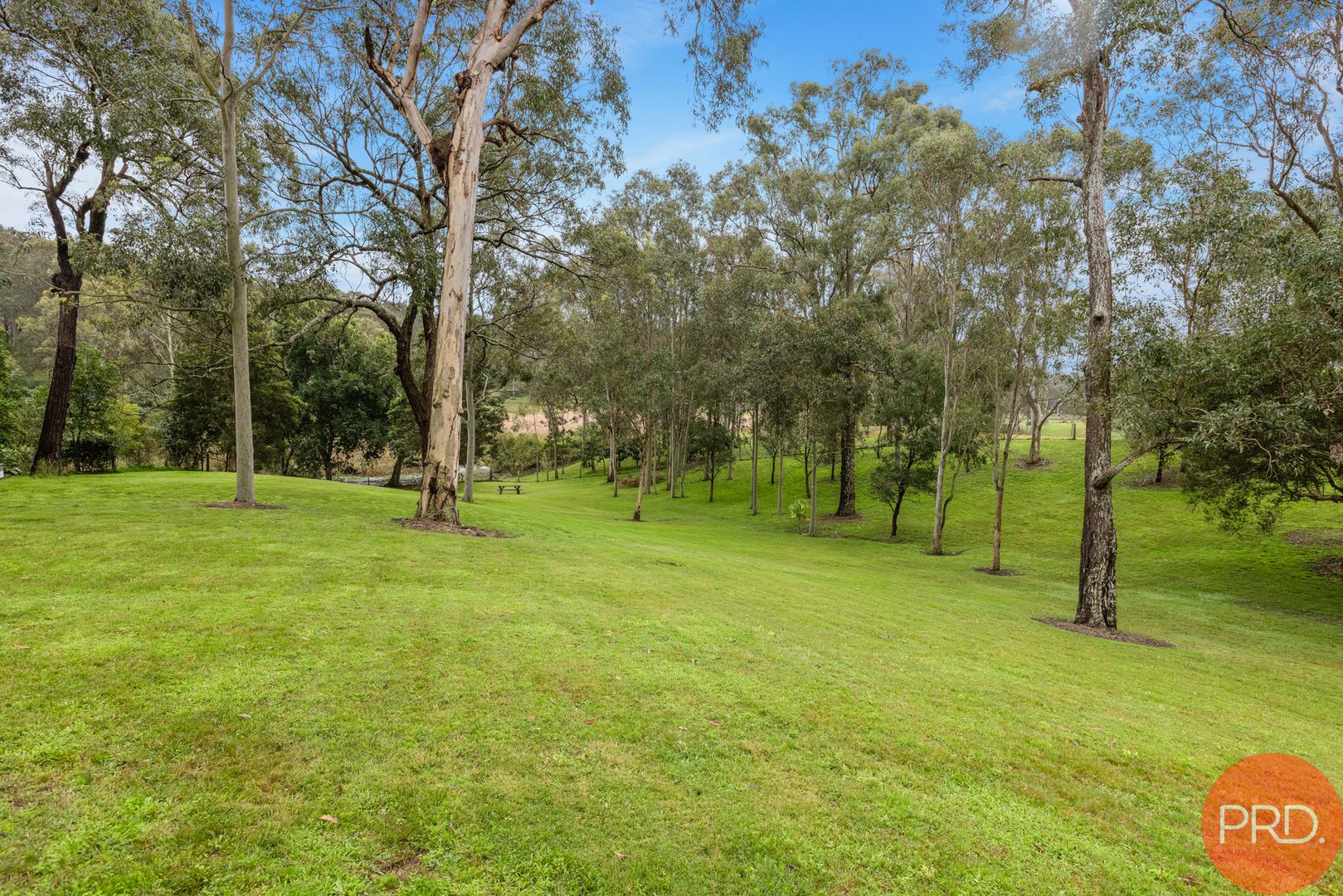 18 Walter Parade, Black Hill NSW 2322 House for Sale Domain
