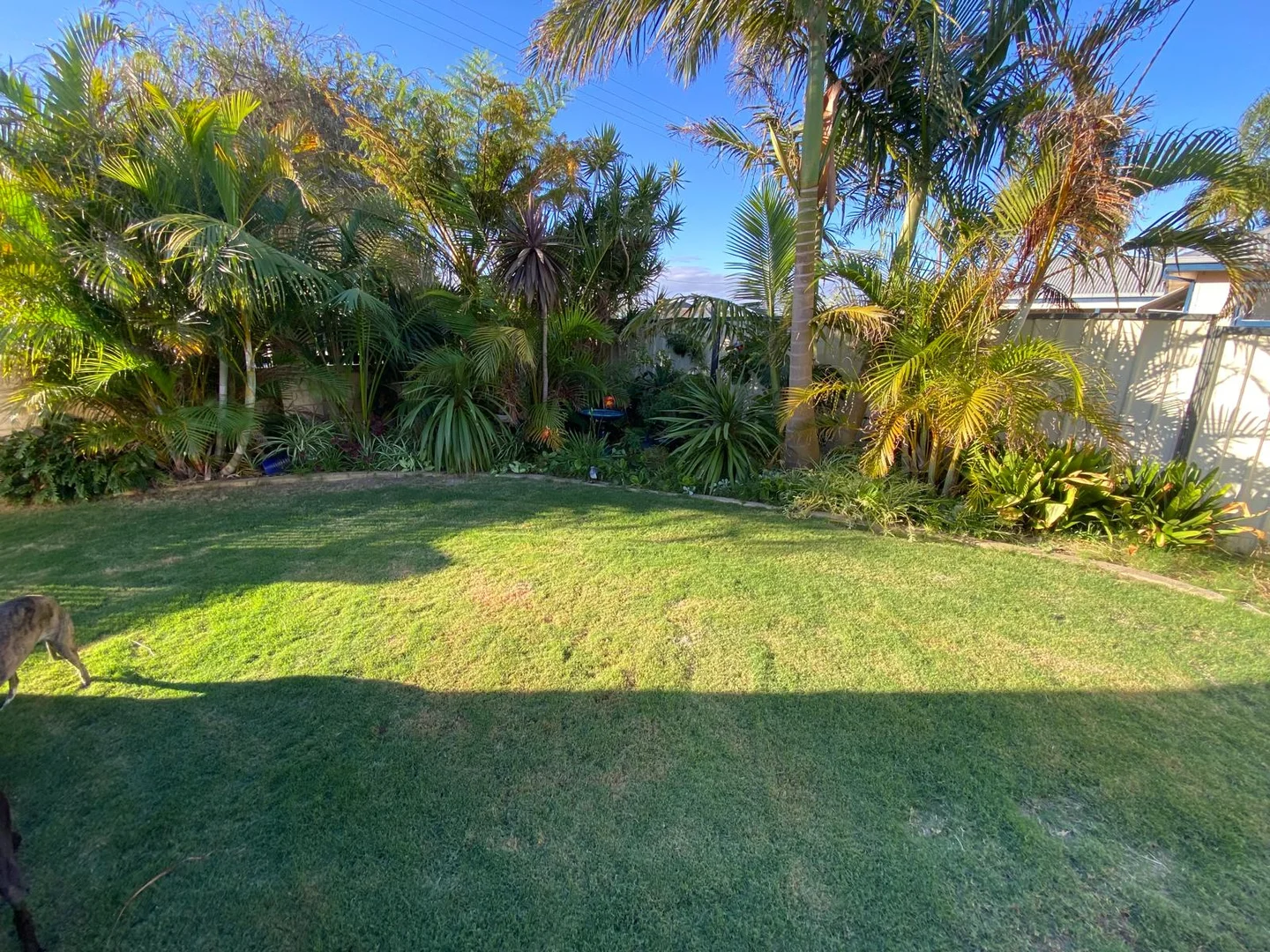 Additional image 11 of 1/27 Wilson Street, Carey Park WA 6230