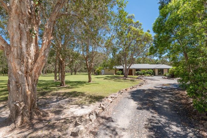 Picture of 29 Coral Fern Drive, COOROIBAH QLD 4565