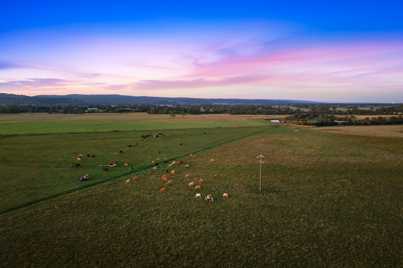 Additional image 13 of 89 Riverslea Boulevard, Traralgon VIC 3844