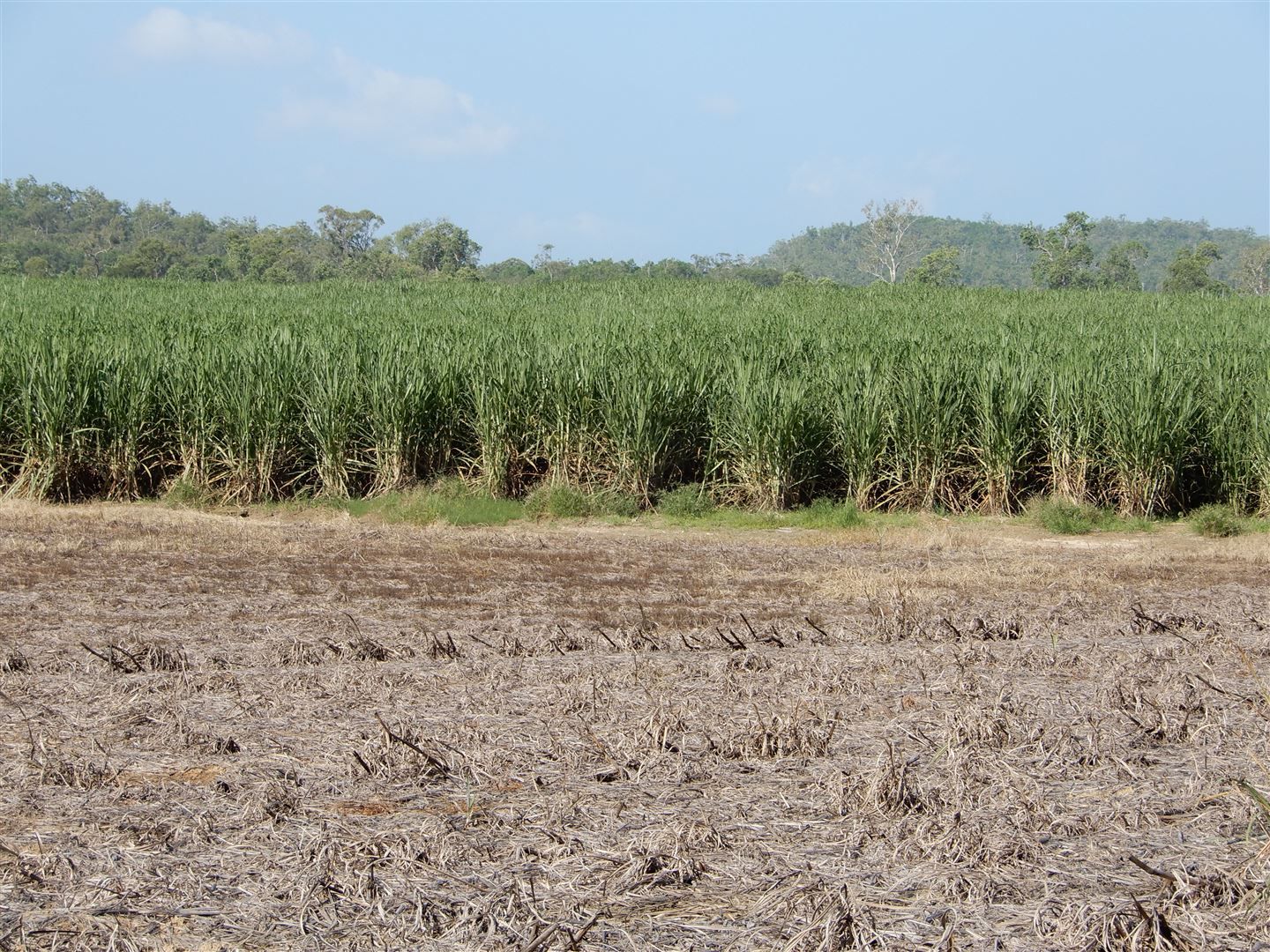 Mount Ossa QLD 4741, Image 1