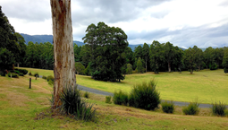 Picture of 15/2260 Mt Baw Baw Tourist Road, ICY CREEK VIC 3833