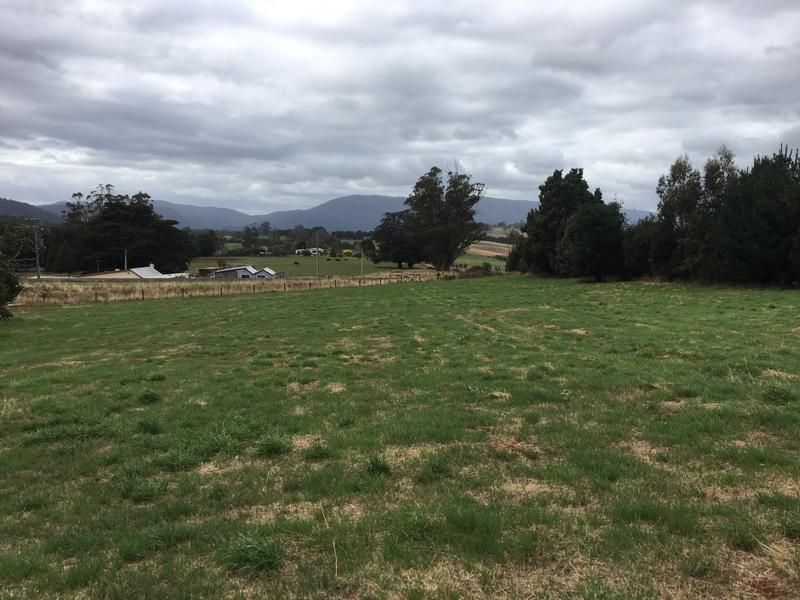 Lot 6 Percy Street, Scottsdale TAS 7260, Image 1