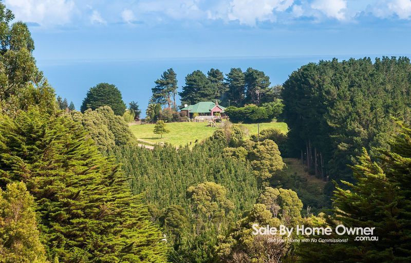 400 Amiets Road, Wyelangta VIC 3237, Image 0