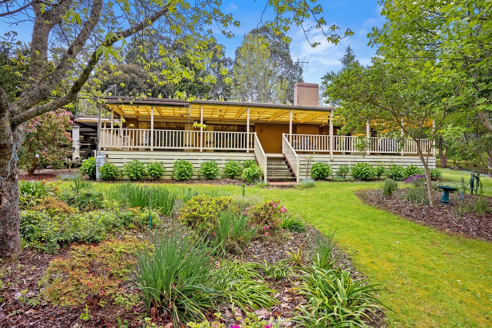 290 Eacotts Road, Hoddles Creek VIC 3139, Image 0