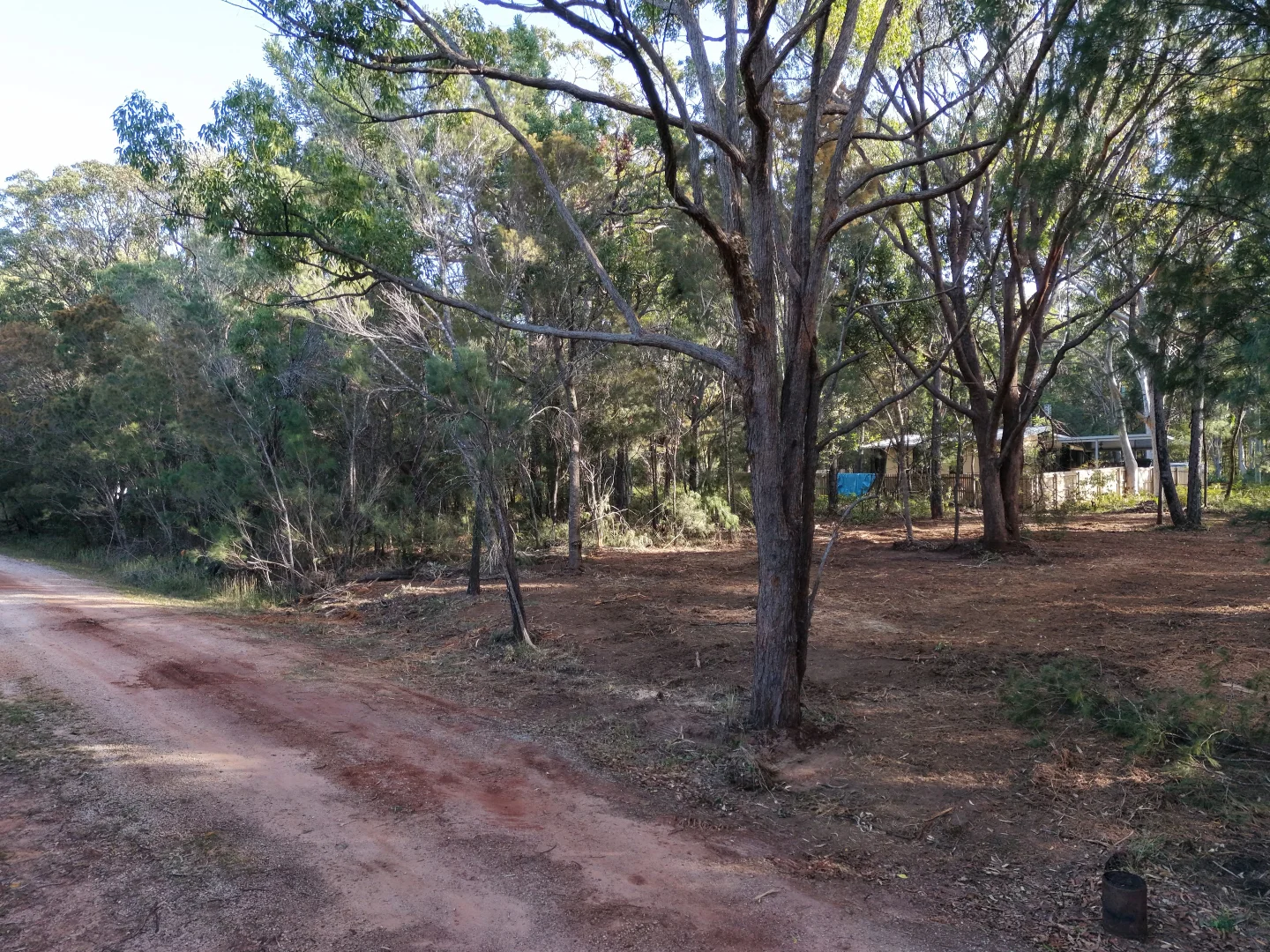 Image 11