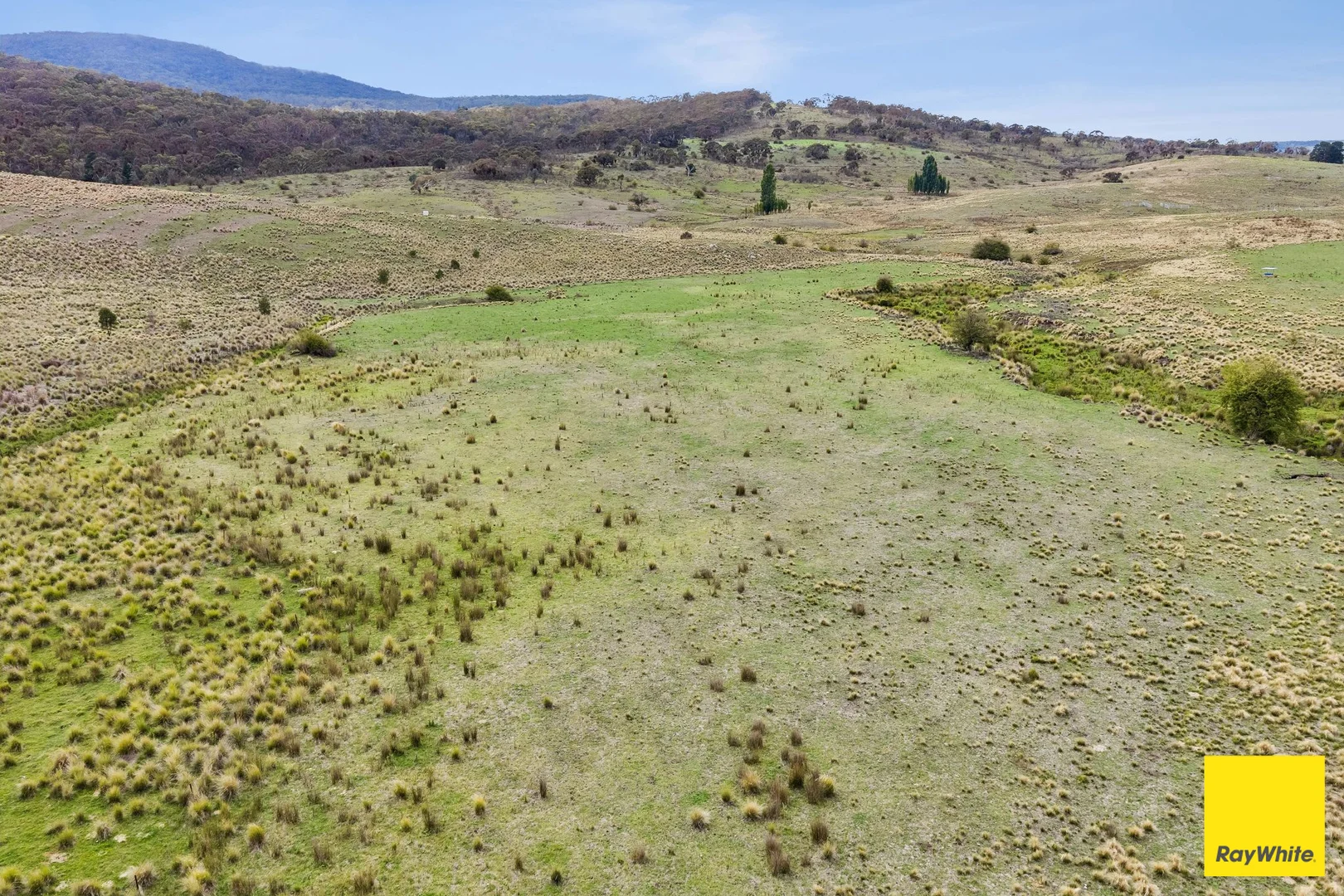 Additional image 30 of 1/55 Daniel Lane, Forbes Creek NSW 2621