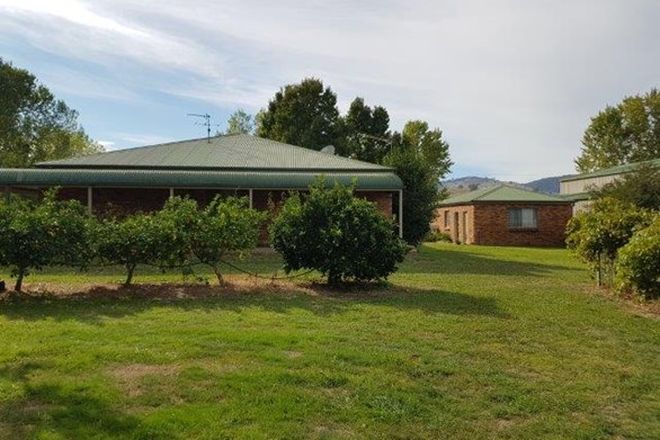 Picture of 746 TUMUT PLAINS ROAD, TUMUT PLAINS NSW 2720