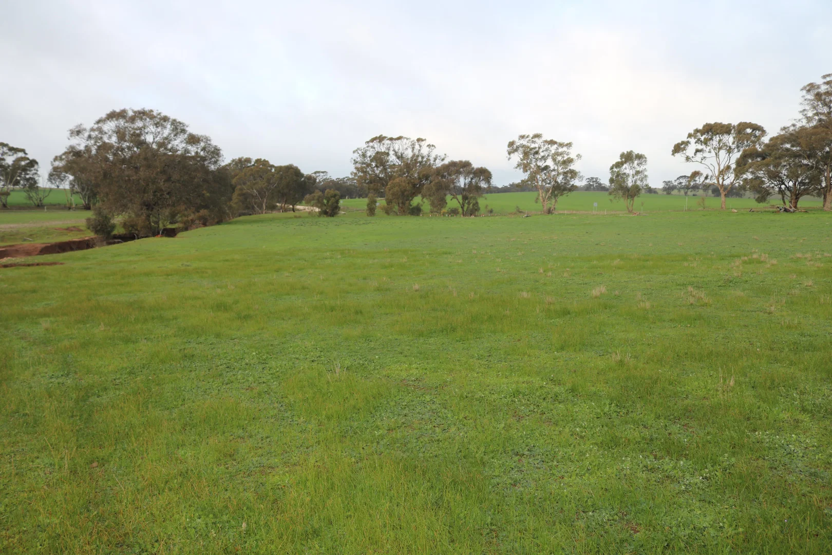 Image 13