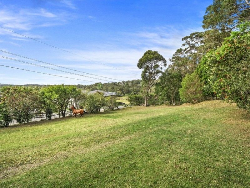 113 Orchard Street, Warriewood NSW 2102, Image 0