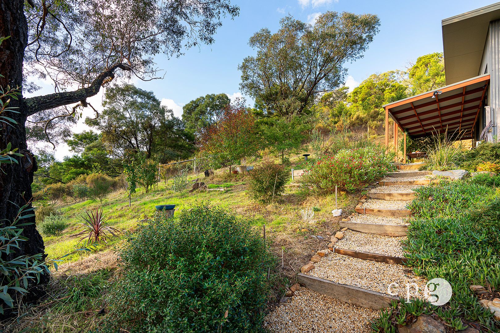 290 Golden Point Road, Golden Point VIC 3451, Image 1