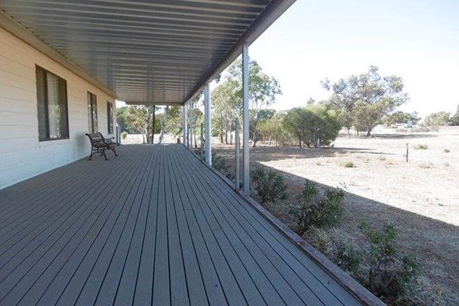 Picture of 1901 Stone Hut-Caltowie Road, CALTOWIE SA 5490