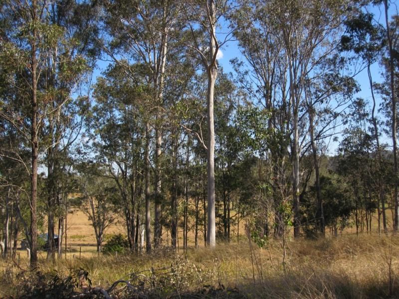 Lot 4 Carey Street, Bonalbo NSW 2469, Image 0