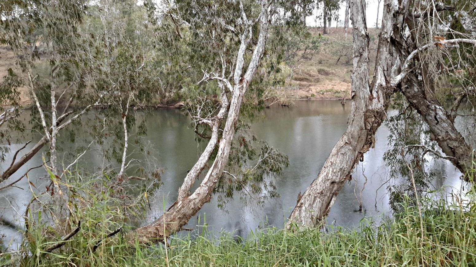 1037 Herbert River Road, Innot Hot Springs Property History & Address