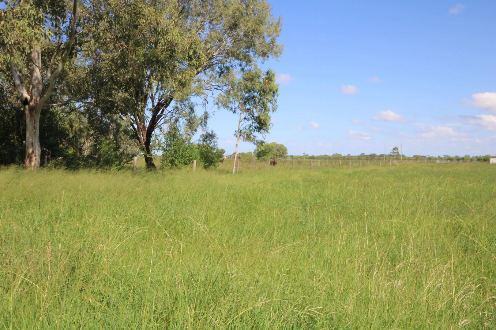 Image 33
