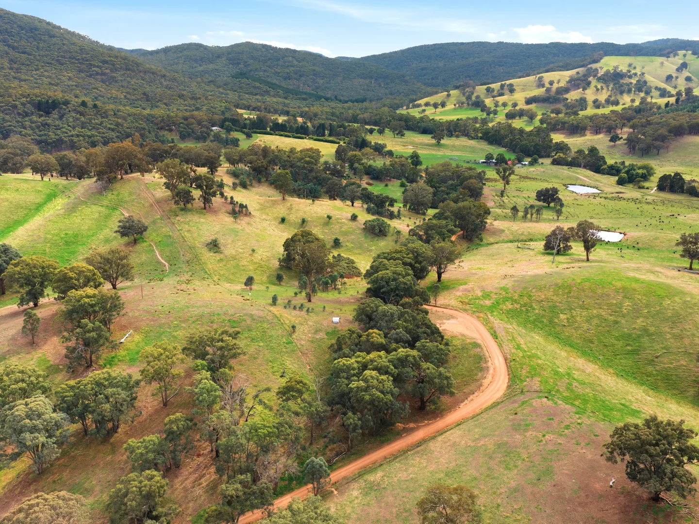 Additional image 33 of 731 North Creek Road, Ancona VIC 3715