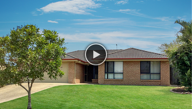 Picture of 9 Cassinia Court, EATONS HILL QLD 4037
