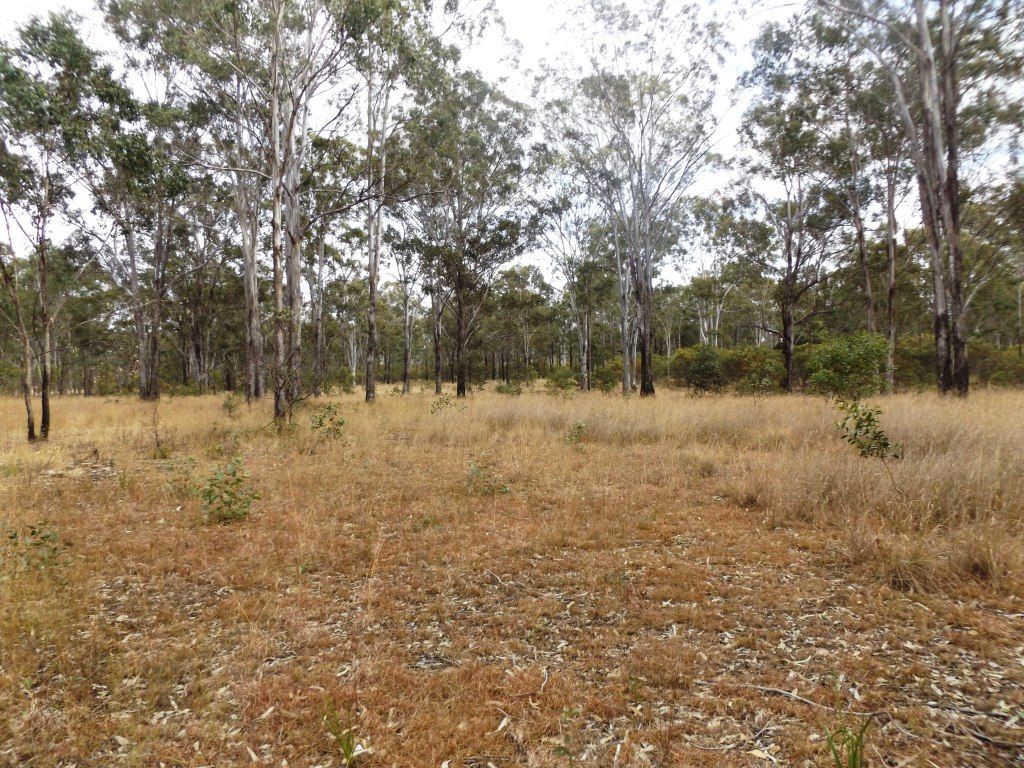 lot 4 Wattle Camp Road, Wattle Camp QLD 4615, Image 2