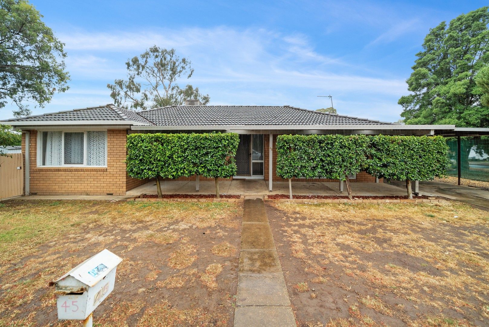 45 Dunn Avenue, Forest Hill NSW 2651 House For Rent Domain