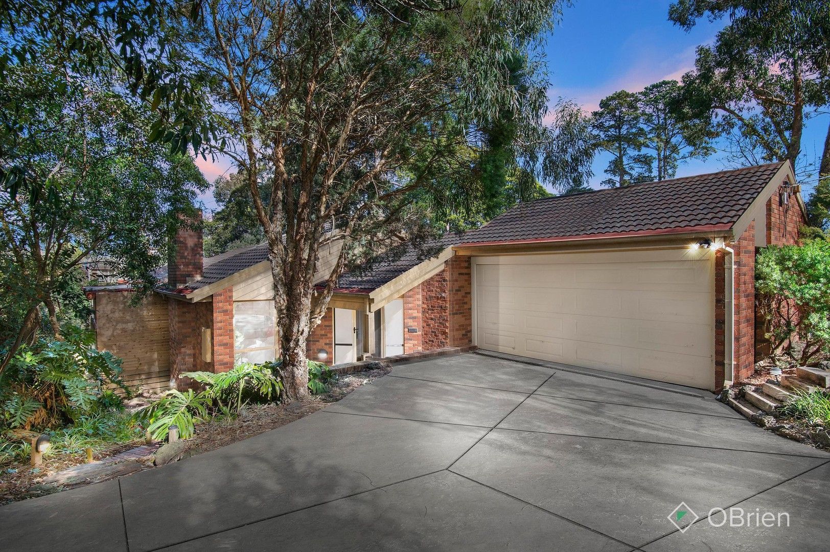 22A Olive Grove, Boronia VIC 3155, Image 0