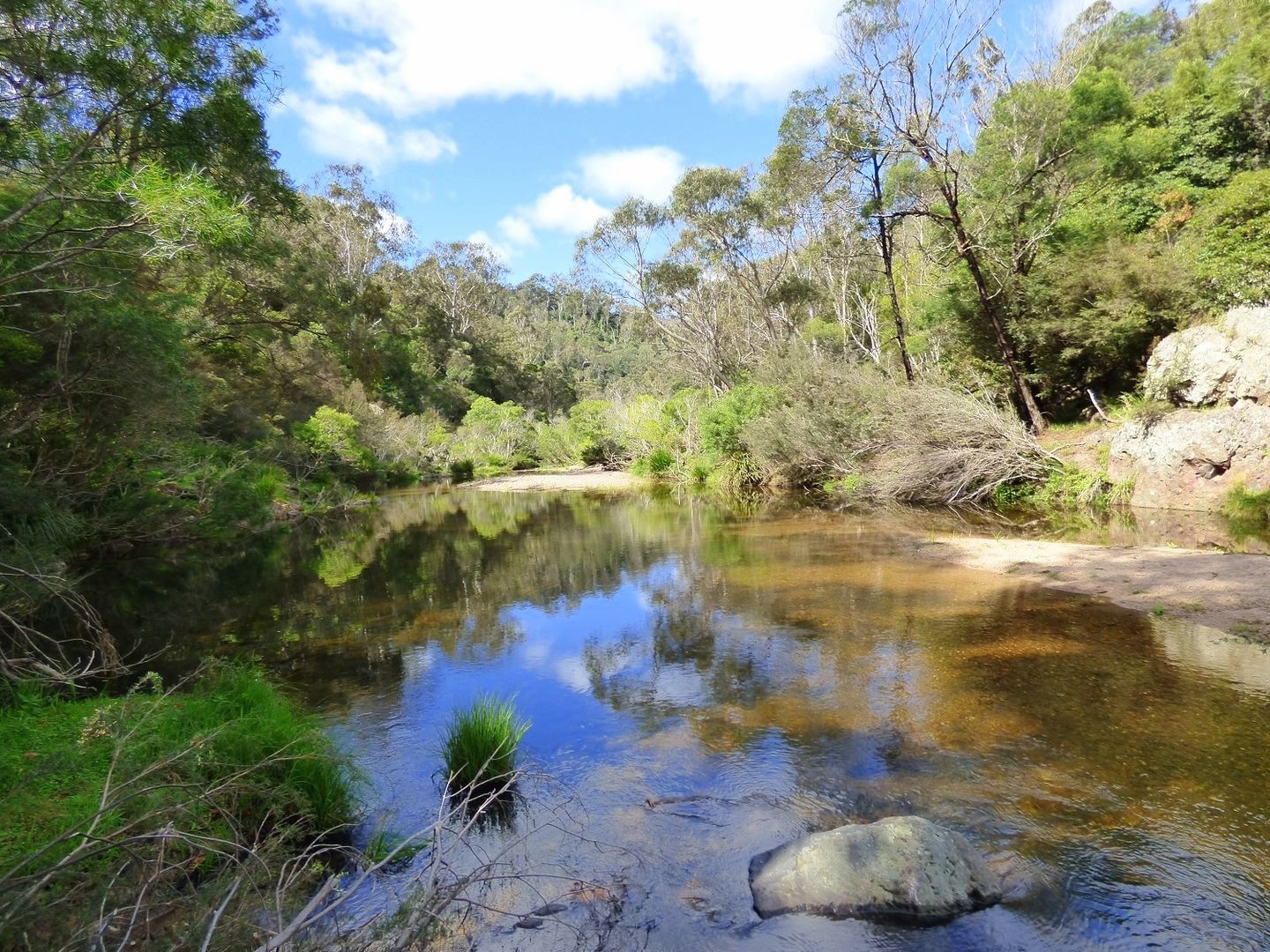 50 Omaru Lane, BALD HILLS Via, Pambula NSW 2549, Image 2