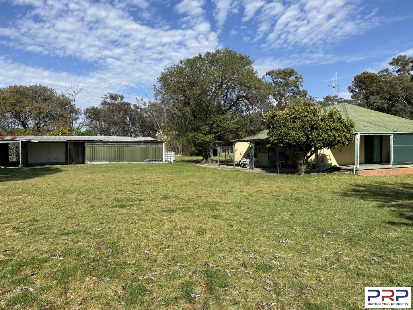 Image 12