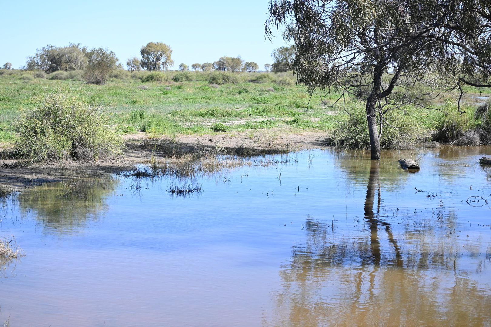 Off Sandy Camp Road, Quambone NSW 2831 House for Sale