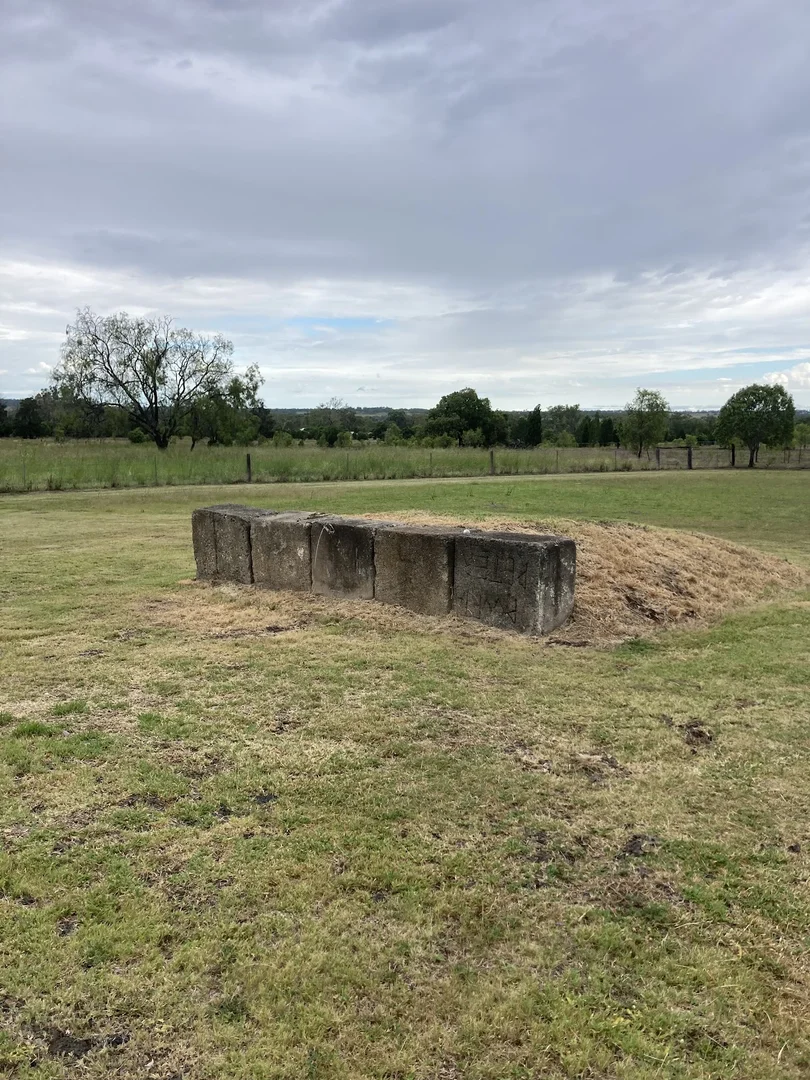 Image 12