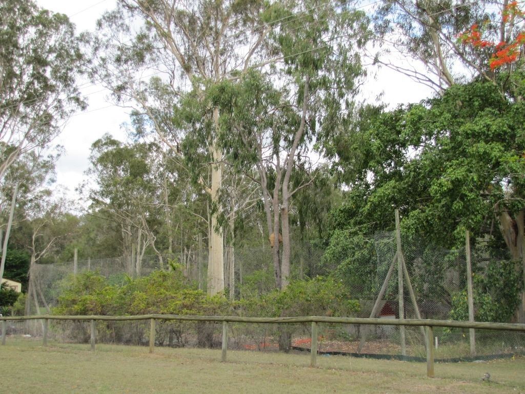 33 Chamberlain Road, Burua QLD 4680, Image 2