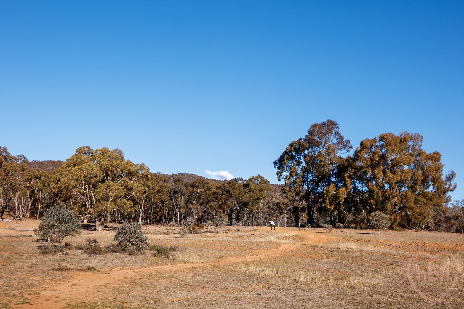 7/35 Tay Street, Watson ACT 2602, Image 1