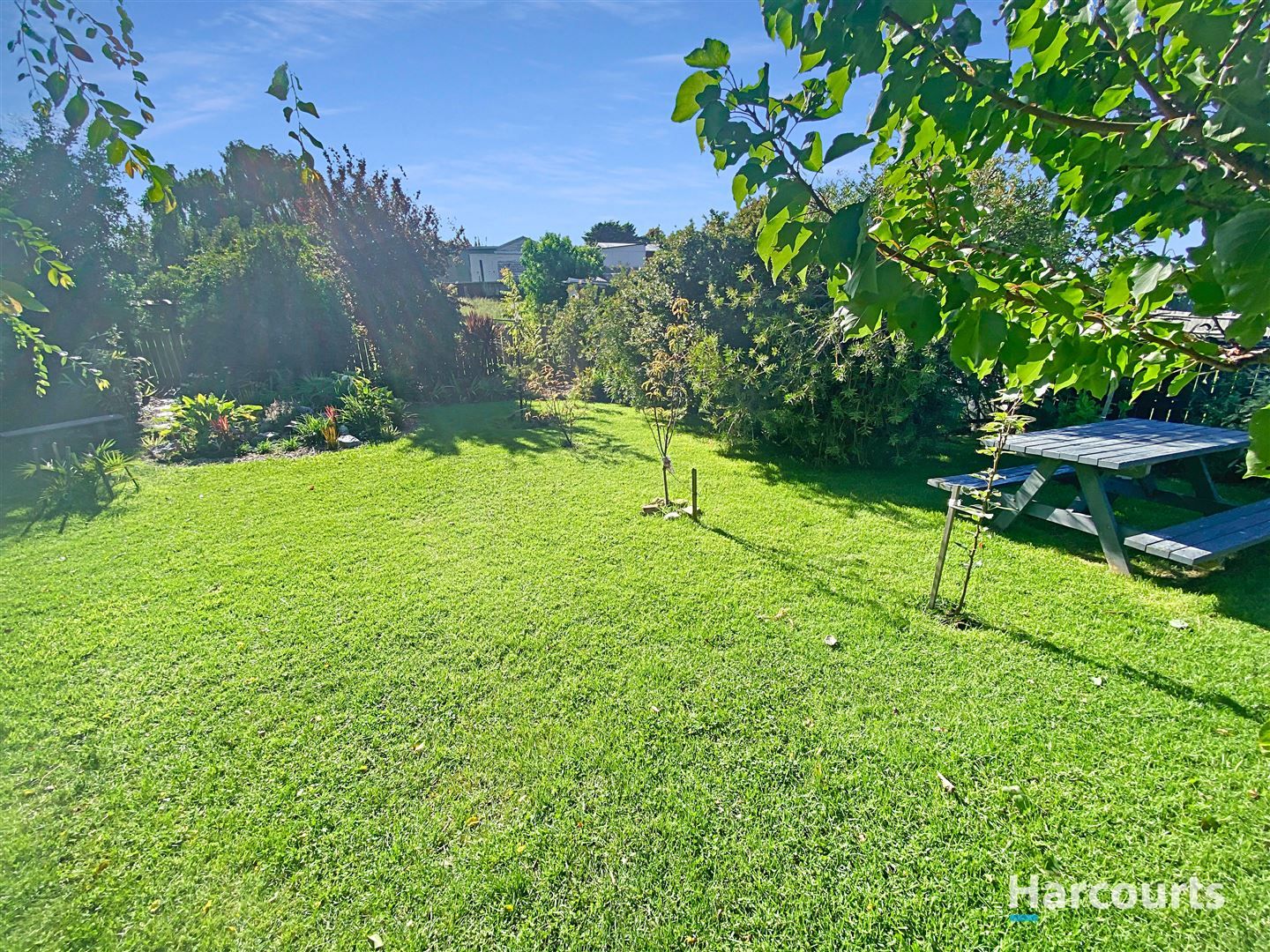 6 Lindsay Parade, St Helens TAS 7216, Image 1