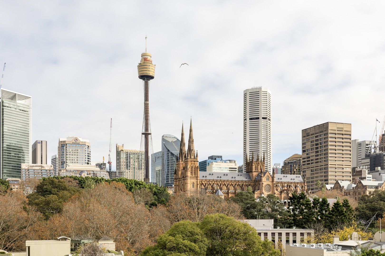 310/88 Crown Street, Woolloomooloo NSW 2011, Image 0