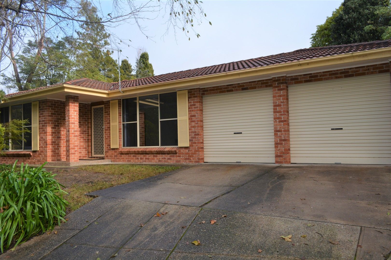 19B Cascade Street, Wentworth Falls NSW 2782 House For Rent Domain