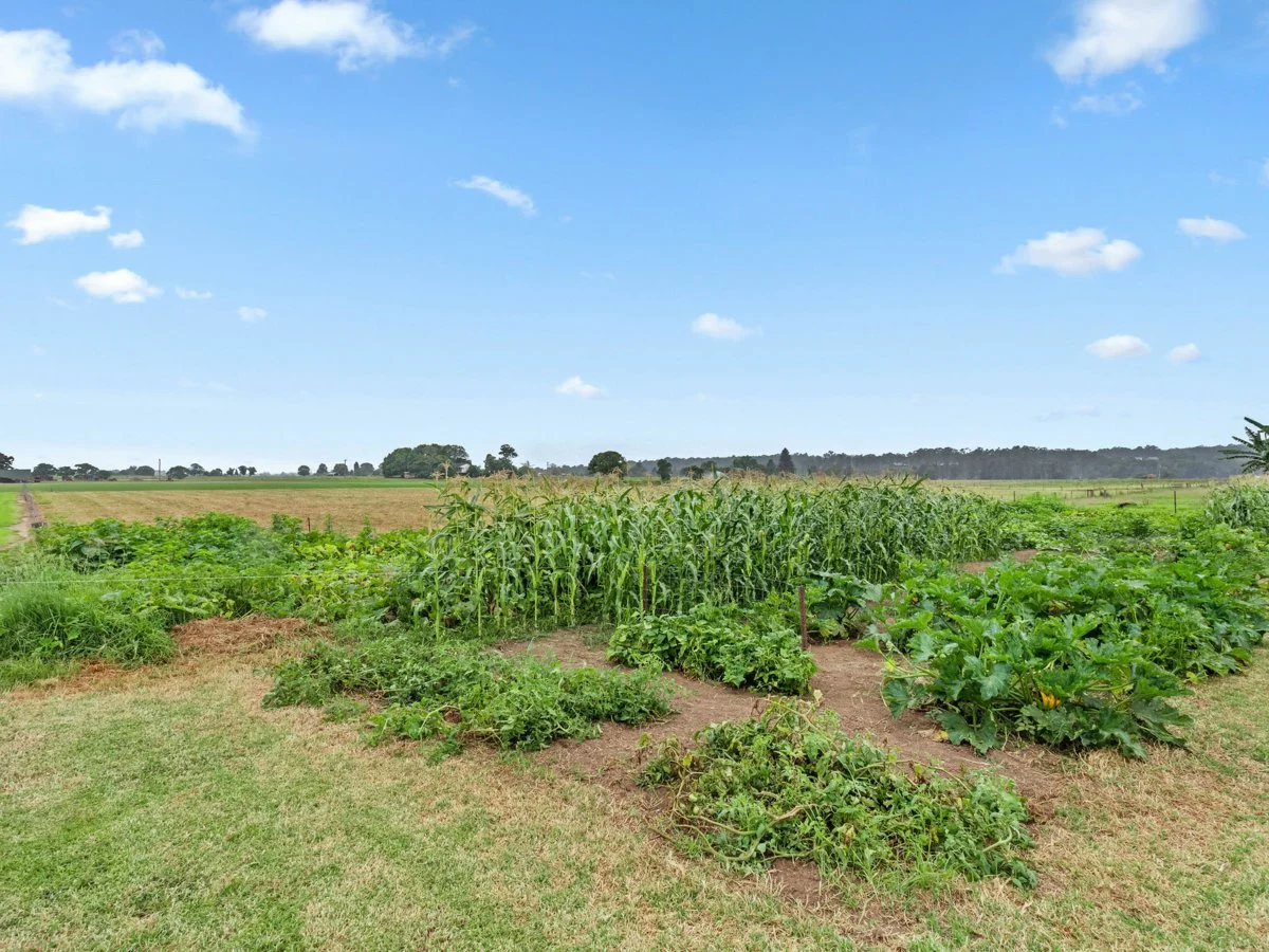 Image 15