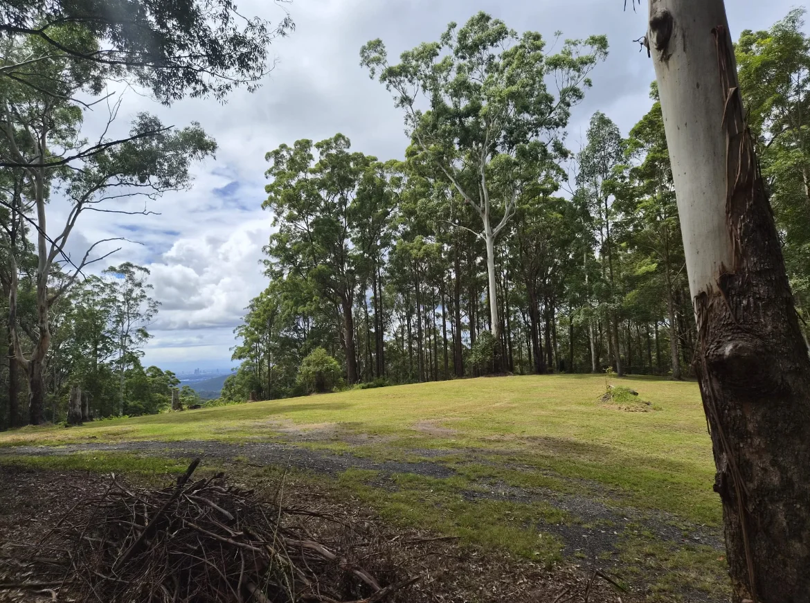 Additional image 5 of 1806 Gold Coast Springbrook Road, Springbrook QLD 4213