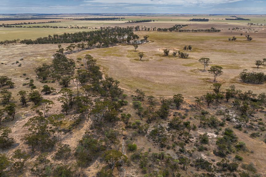 122 Kidd Road, North Kununoppin WA 6489, Image 2