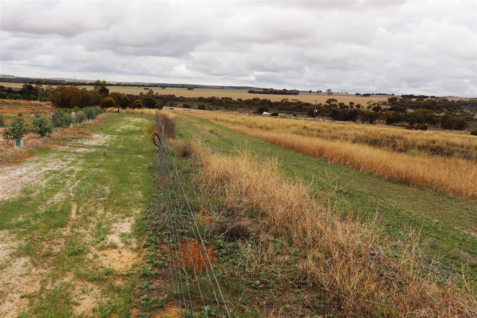 7 Danubin Street, Wongan Hills WA 6603, Image 1